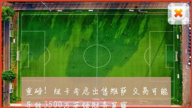重磅!纽卡考虑出售维萨 交易可能导致3500万英镑财务窟窿