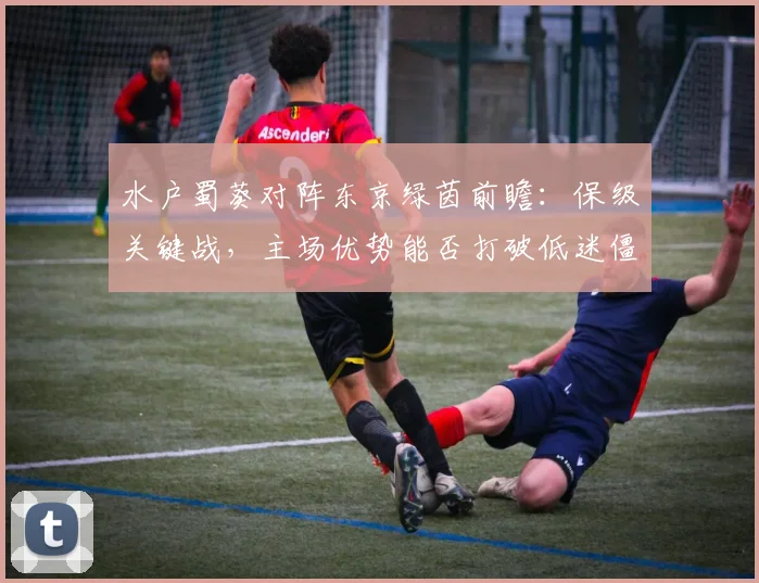 水户蜀葵对阵东京绿茵前瞻：保级关键战，主场优势能否打破低迷僵局？